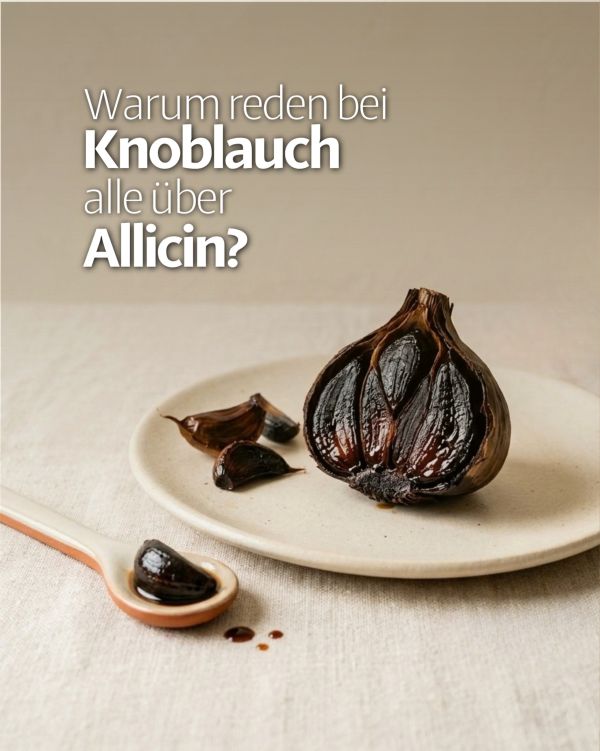 Bei frischem Knoblauch entsteht Allicin erst, wenn die Zehe zerkleinert wird. Es reagiert jedoch schnell weiter und bild...