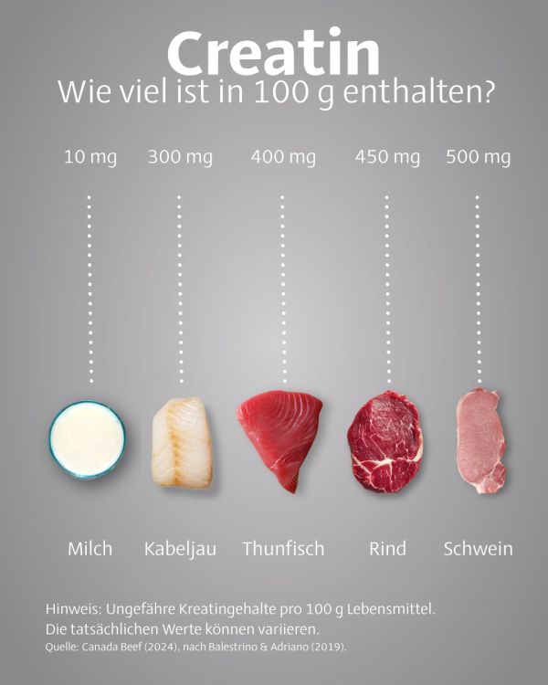 💪 Wie viel Kreatin steckt eigentlich in Lebensmitteln? Die Mengen unterscheiden sich deutlich. Während Milch nur sehr w...