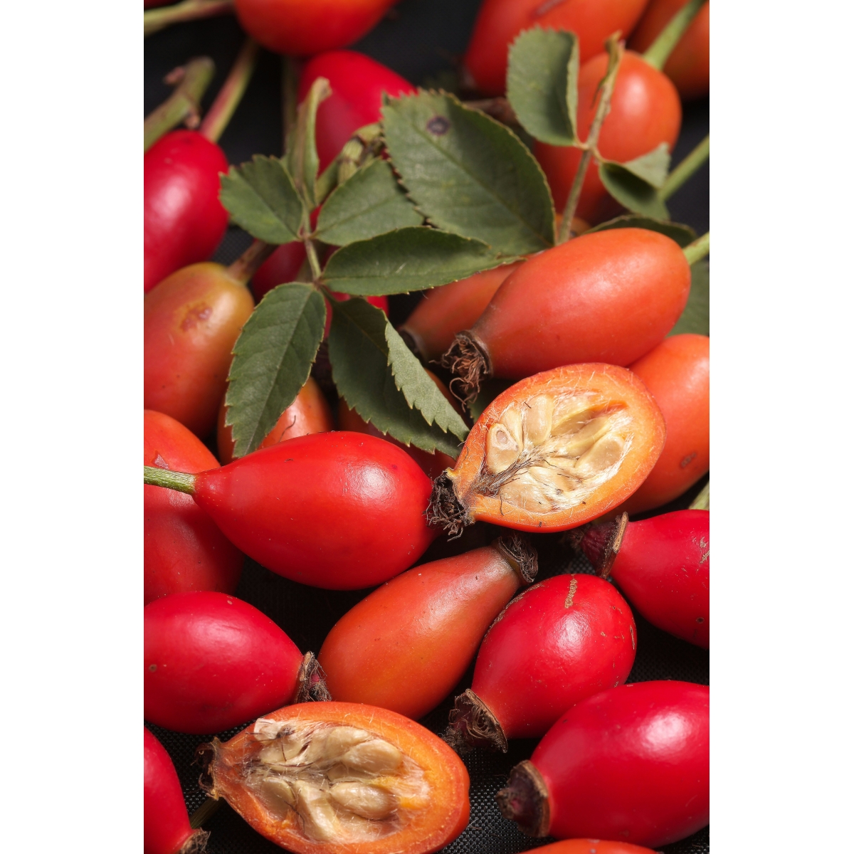 OPC-Defense plus Kapseln | Alpinamed AG