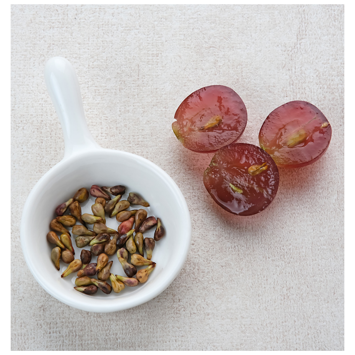OPC-Defense plus Capsules | Alpinamed AG