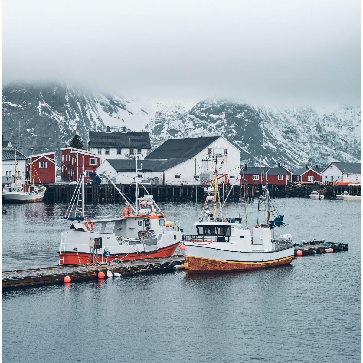 Krill Oil Capsule | Alpinamed AG