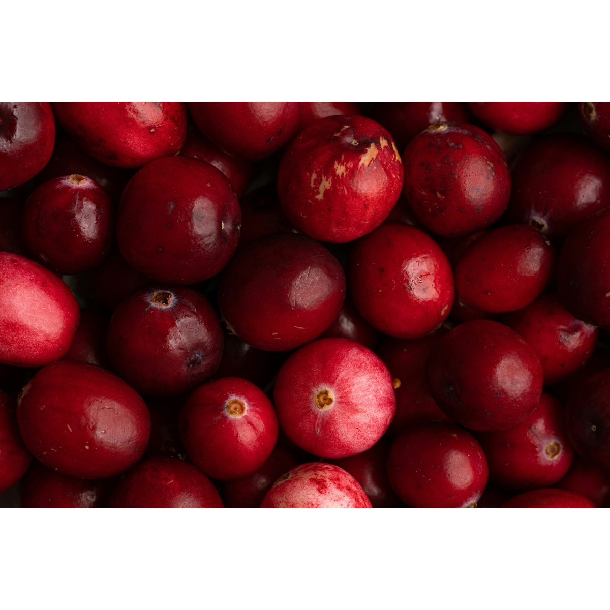 Lingonberry D-Mannose Drink Granules | Alpinamed AG