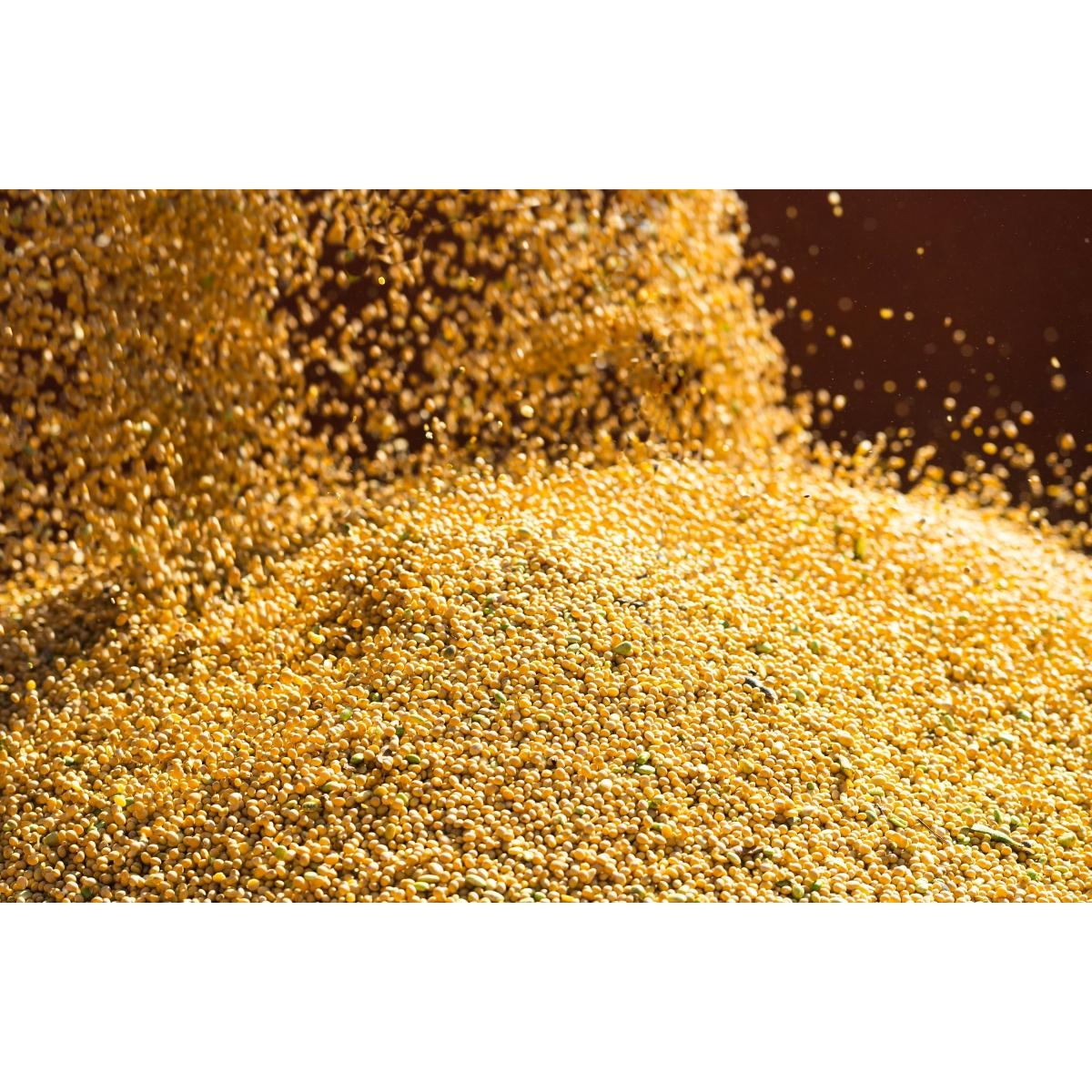 HIRSANA Golden Millet Oil Capsules | Alpinamed AG